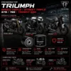 triumph 675 765 street triple oil filter high performance