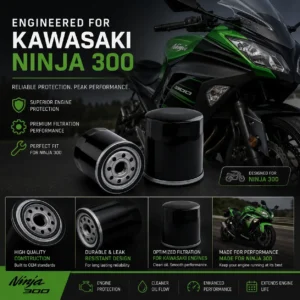 kawasaki ninja 300 oil filter sri vijaya puram