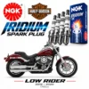 buy harley davidson low rider ngk iridium spark plug set online India